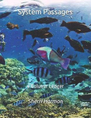 Book cover for System Passages