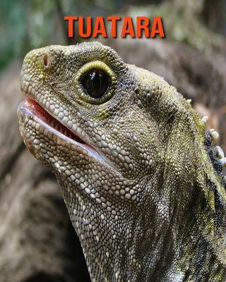 Book cover for Tuatara
