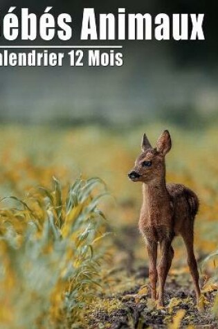 Cover of Calendrier 2021 Bébés Animaux