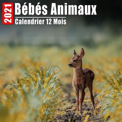 Book cover for Calendrier 2021 Bébés Animaux