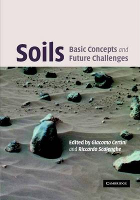 Cover of Soils: Basic Concepts and Future Challenges
