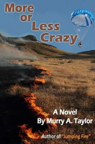 Cover of More or Less Crazy