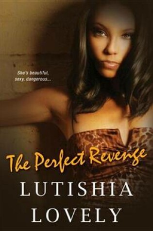 Cover of Perfect Revenge