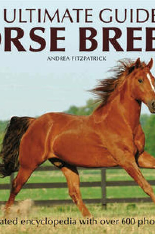 Cover of The Ultimate Guide to Horse Breeds