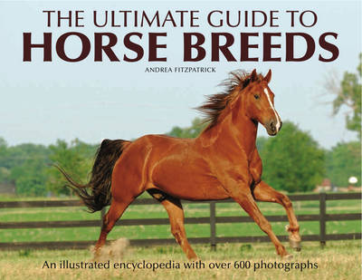 Cover of The Ultimate Guide to Horse Breeds