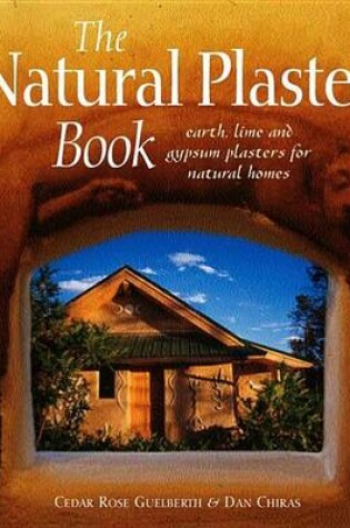 Cover of Natural Plaster Book