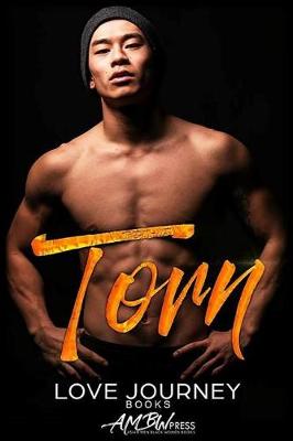 Book cover for Torn