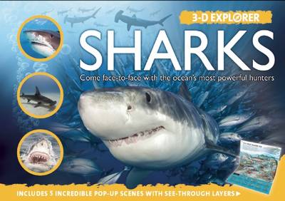 Cover of 3-D Explorer: Sharks