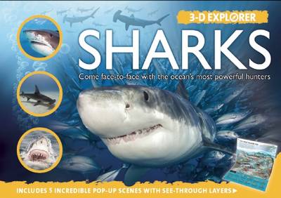 Book cover for 3-D Explorer: Sharks