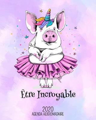 Book cover for Etre Incroyable - 2020 Agenda Hebdomadaire