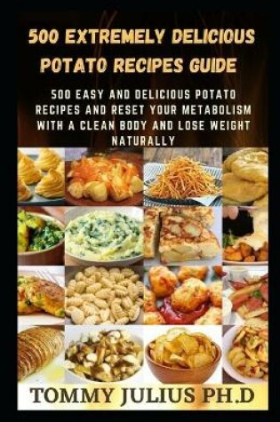 Cover of 500 Extremely Delicious Potato Recipes Guide