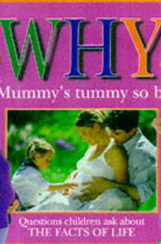 Cover of Why is Mummy's Tummy So Big?