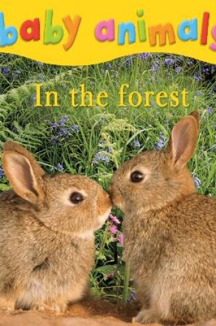Cover of Baby Animals: In the Forest