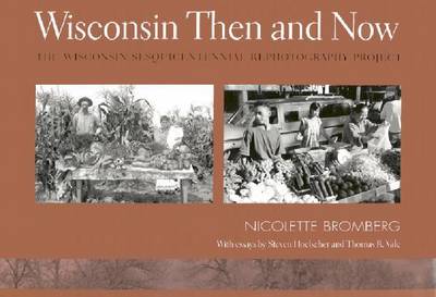 Book cover for Wisconsin Then And Now