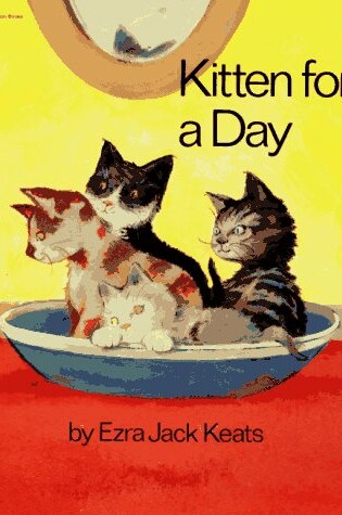 Cover of Kitten for a Day