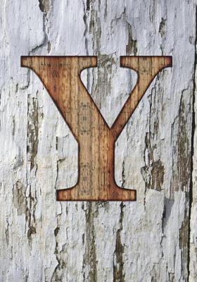 Cover of Y