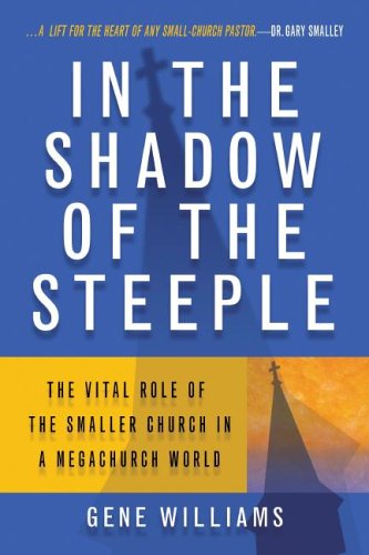Book cover for In the Shadow of the Steeple