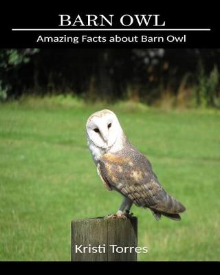 Book cover for Amazing Facts about Barn Owl