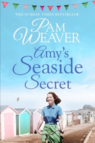Cover of Amy's Seaside Secret