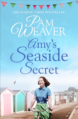 Book cover for Amy's Seaside Secret