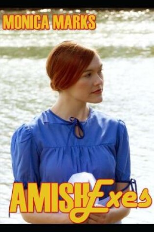 Cover of Amish Exes