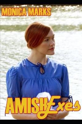 Book cover for Amish Exes