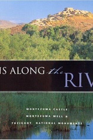 Cover of Ruins Along the River