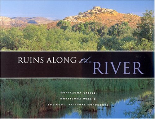 Book cover for Ruins Along the River