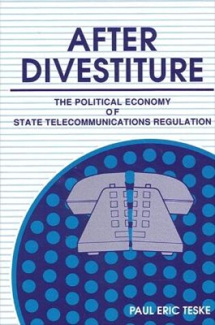 Cover of After Divestiture