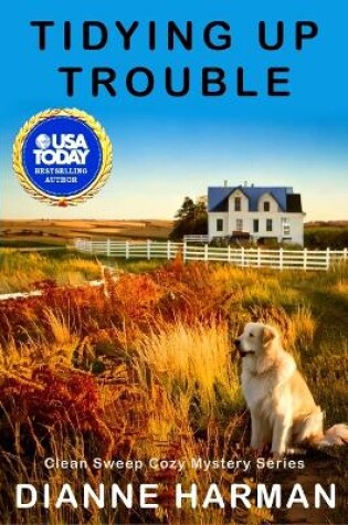 Cover of Tidying Up Trouble