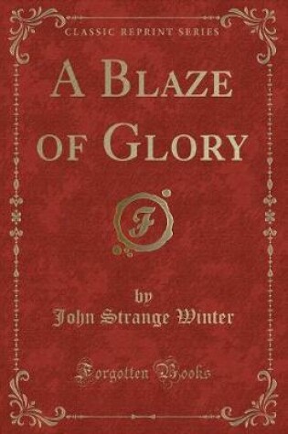 Cover of A Blaze of Glory (Classic Reprint)