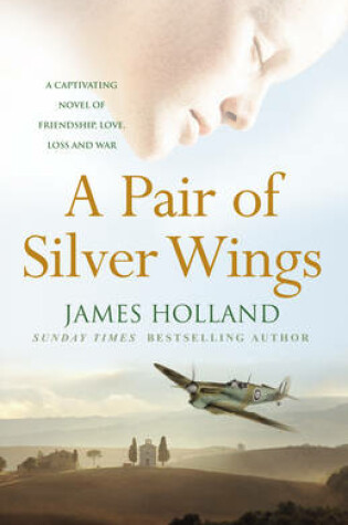 Cover of A Pair of Silver Wings