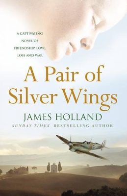 Book cover for A Pair of Silver Wings