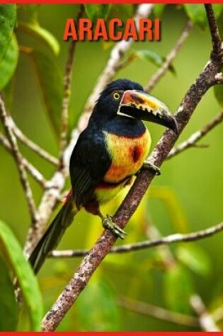 Cover of Aracari