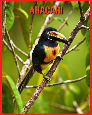 Book cover for Aracari