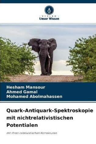 Cover of Quark-Antiquark-Spektroskopie mit nichtrelativistischen Potentialen