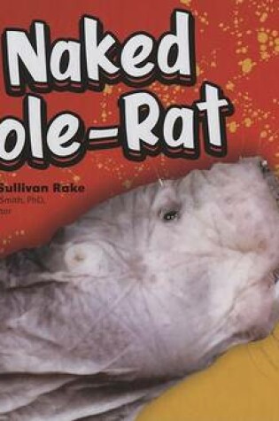 Cover of The Naked Mole-Rat