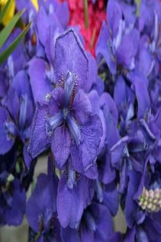 Cover of Floral Journal Purple Iris With Dew