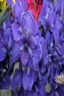 Book cover for Floral Journal Purple Iris With Dew