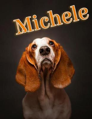 Book cover for Michele