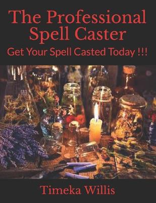 Book cover for The Professional Spell Caster