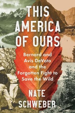 Cover of This America of Ours