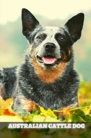 Cover of Australian Cattle Dog