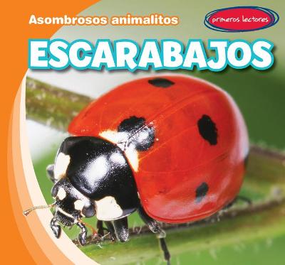 Cover of Escarabajos (Beetles)