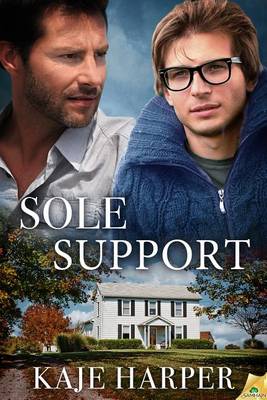 Book cover for Sole Support