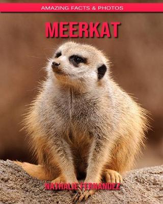 Book cover for Meerkat