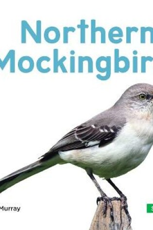 Cover of Northern Mockingbirds
