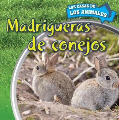 Book cover for Madrigueras de Conejos (Inside Rabbit Burrows)