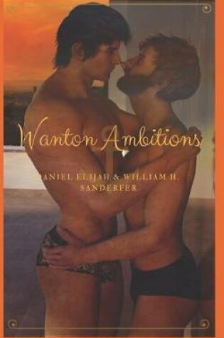 Cover of Wanton Ambitions