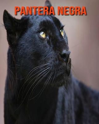 Book cover for Pantera negra